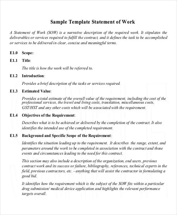 28+ Statement of Work Examples in PDF