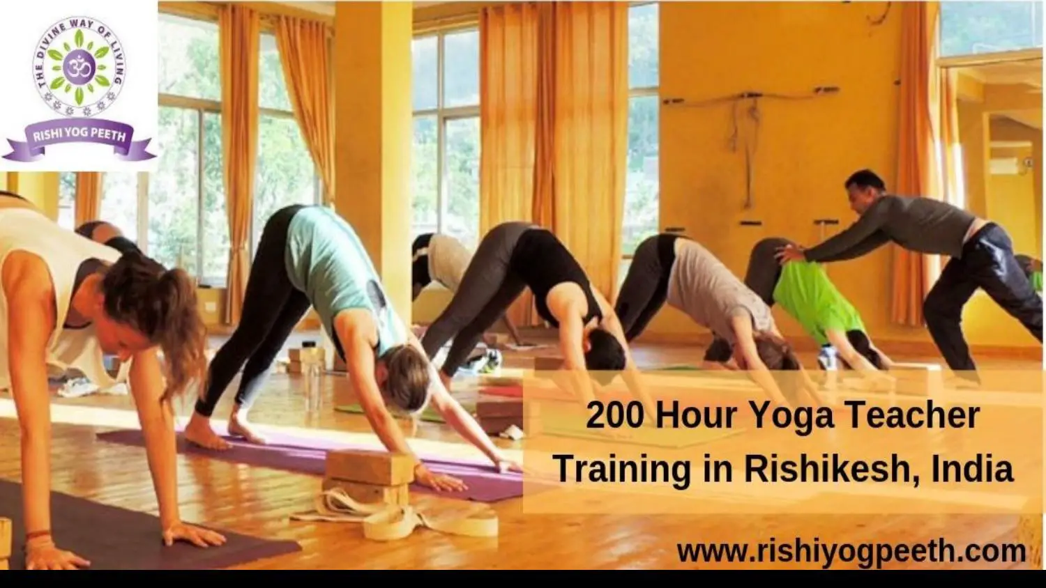 Best 200 Hour Yoga Teacher Training in Rishikesh In India ...