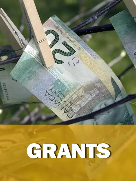 Canadian Government Grants â Canada Small Business ...