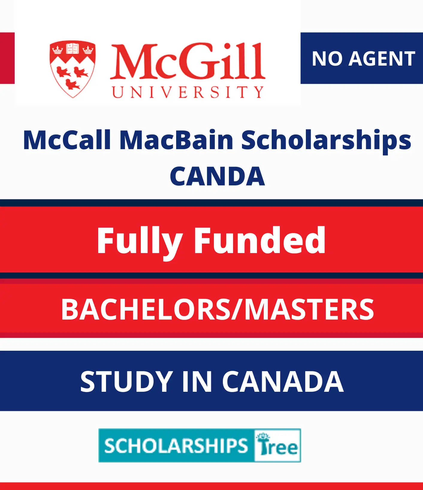 Canadian University Scholarships For International Students 2021 ...