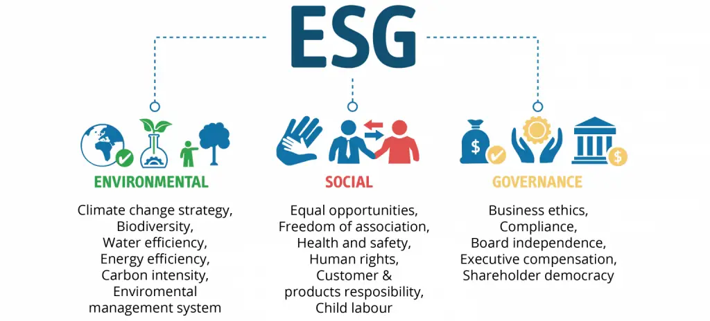 ESG Ratings: How can a business environmental and social ...