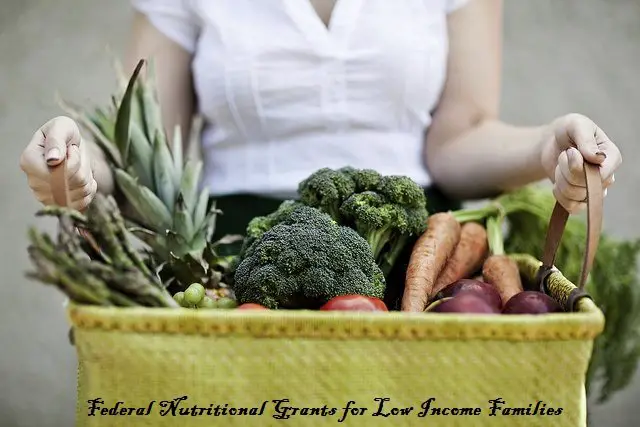 Federal Nutritional Grants for Low Income Families