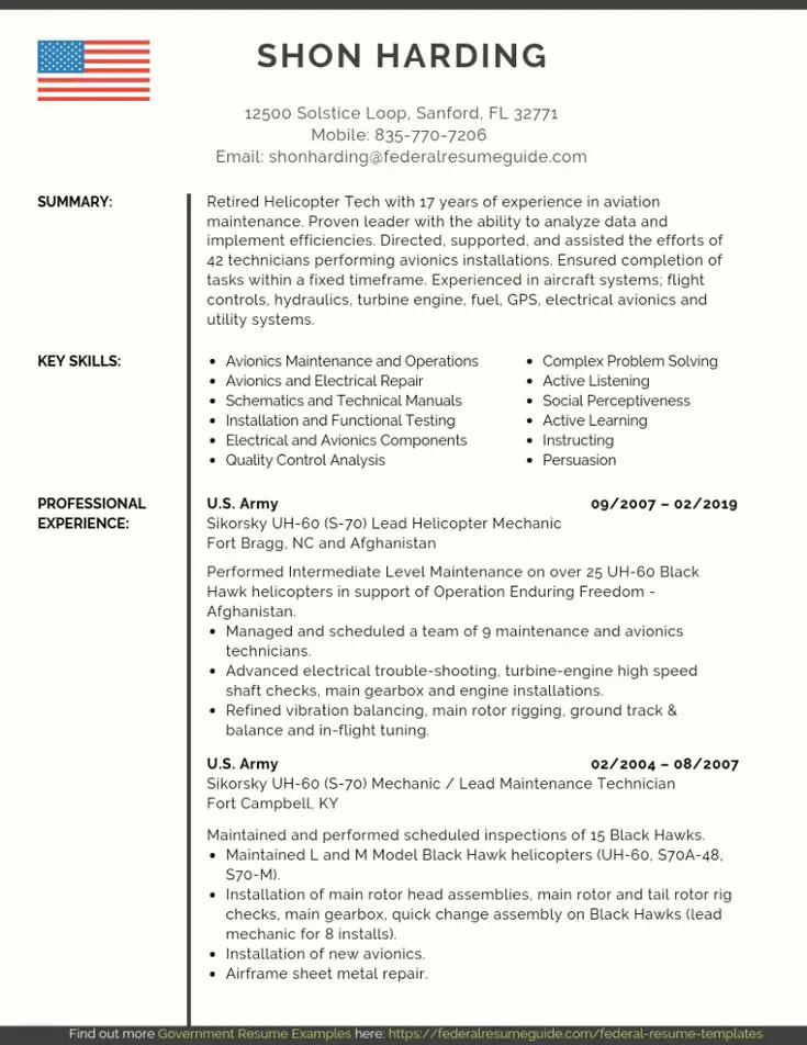 Federal Resume Template in 2020
