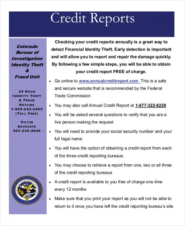 Free 17+ Credit Report Examples &  Samples in PDF