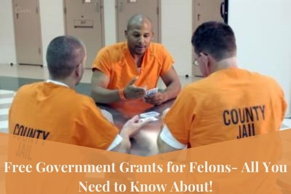 Free Government Grants for Felons