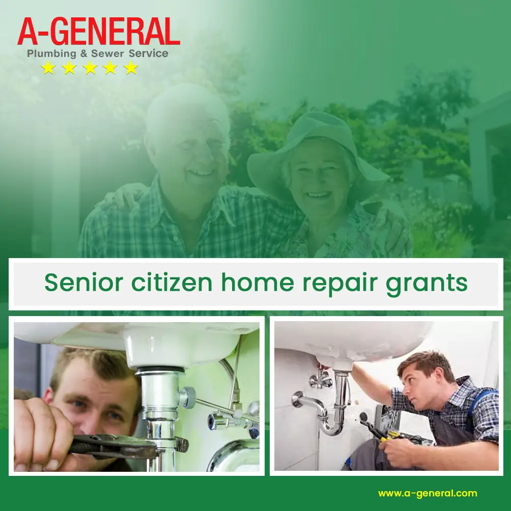 Government Assistance For Elderly Home Repairs