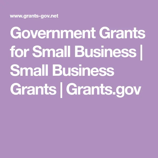 Government Grant For Small Business Malaysia : Government Grants Versus ...