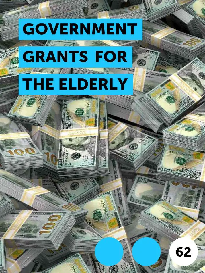 Government Grants for the Elderly in 2020