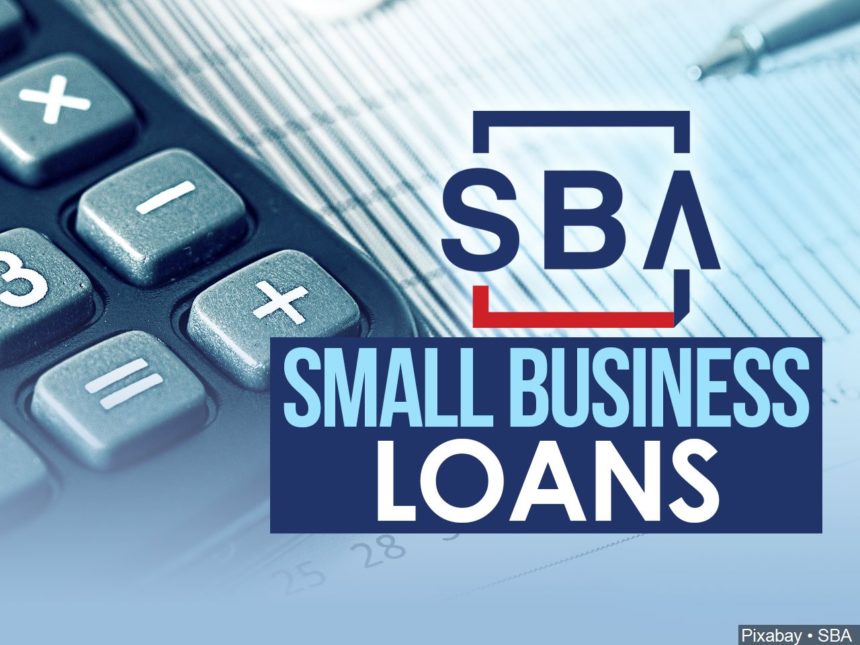Government loans start flowing to small businesses