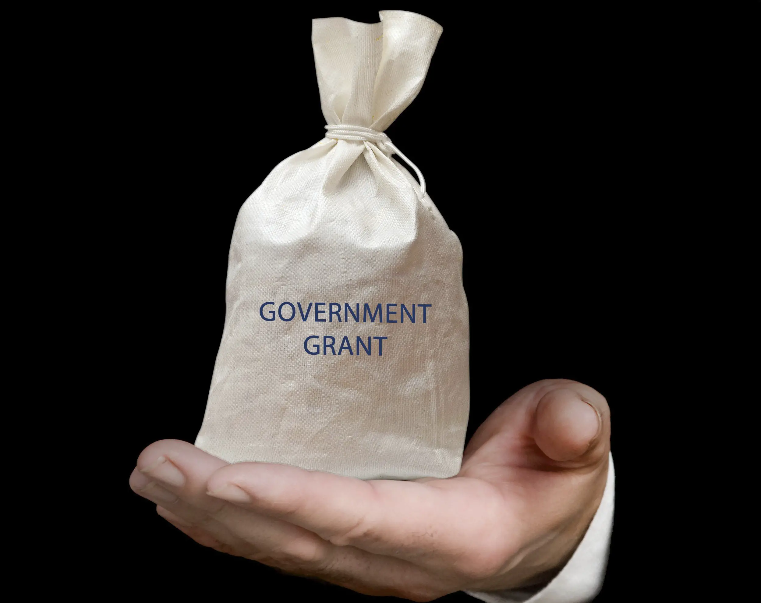 Government schemes to grow your business
