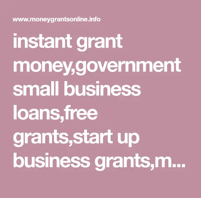 Government Small Business Loans And Grants