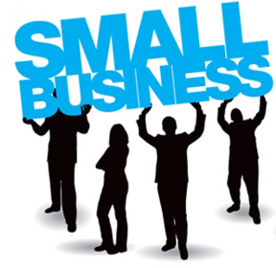 Government Support to Small Enterprise