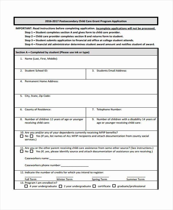 Grant Application form Template Awesome 41 Student ...