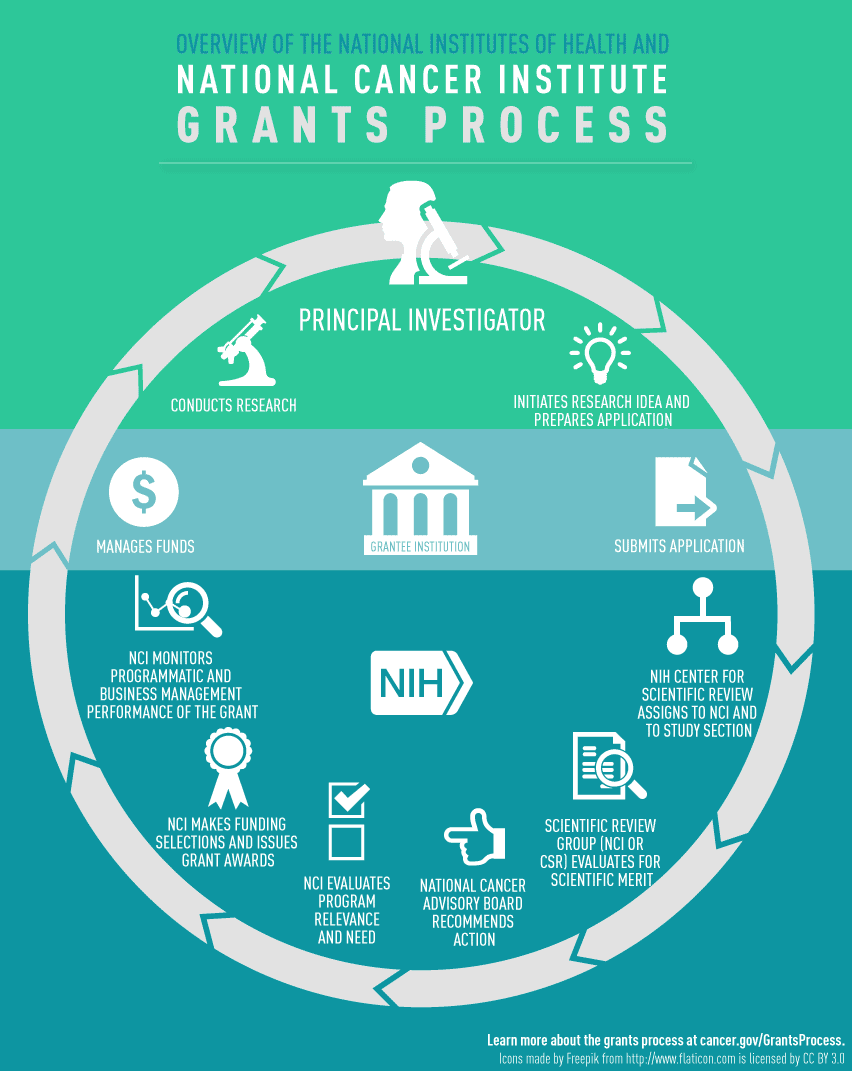 Grants Process Overview