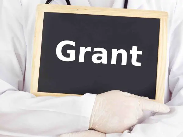 How do I apply for a Government grant or loan