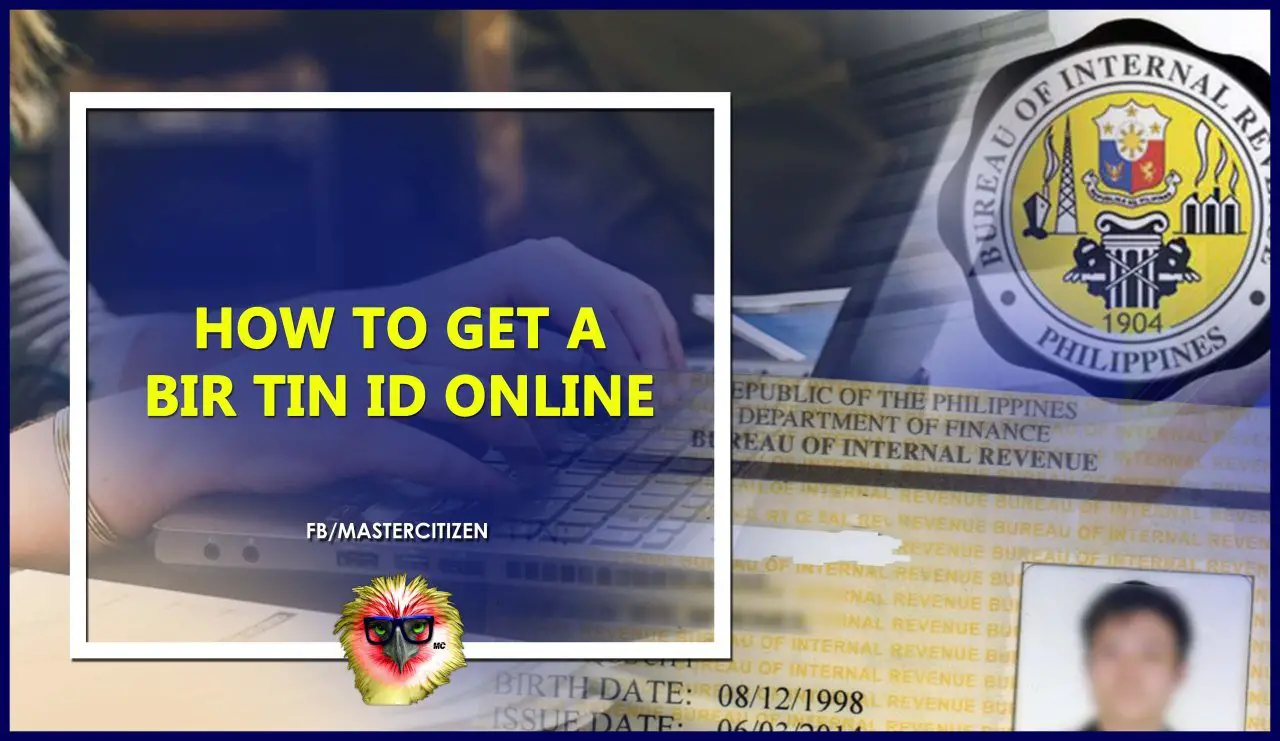 How to Get a BIR TIN ID Online