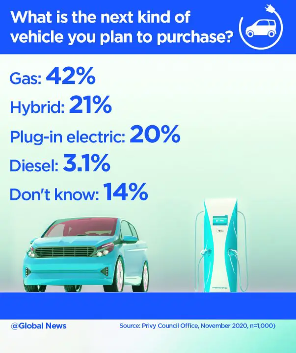 Internal government poll shows strong support for electric vehicle ...