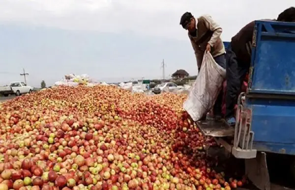 Iranâs Authorities Are Destroying Its Agriculture