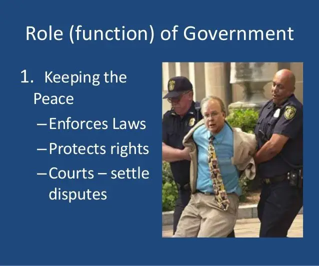 Role of government