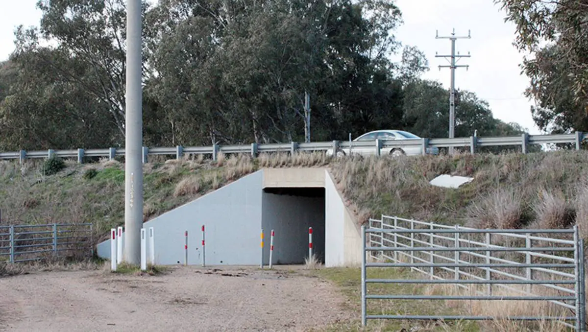 State government funding for dairy cattle underpass ...