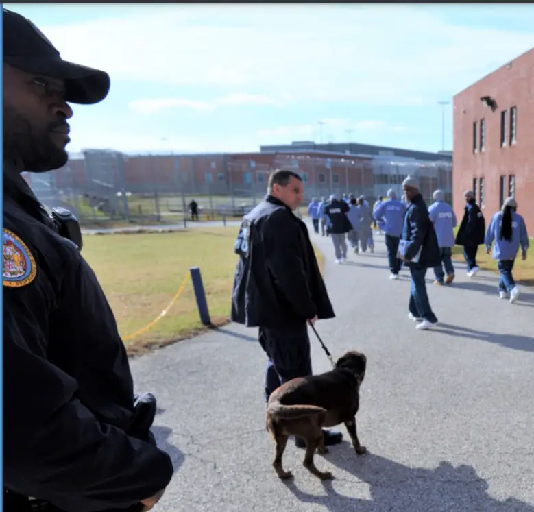 State Roundup: Hogan allows early release of 1,200 prisoners ...