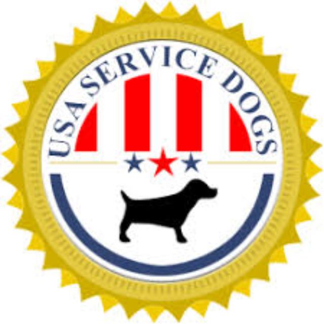 The 8 Best Online Service Dog Training Programs of 2021