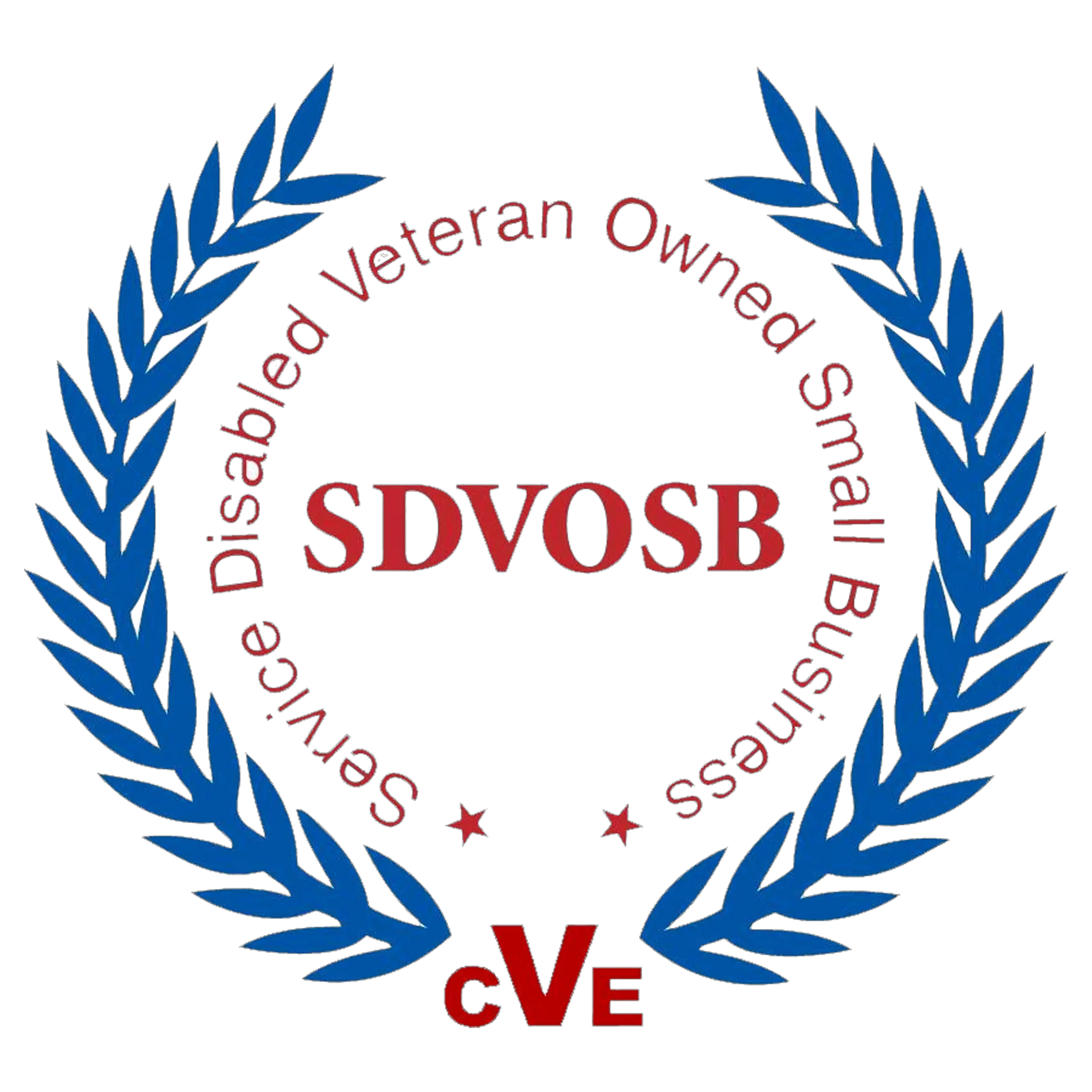 Veteran Owned and Service Disabled Veteran Owned Small ...