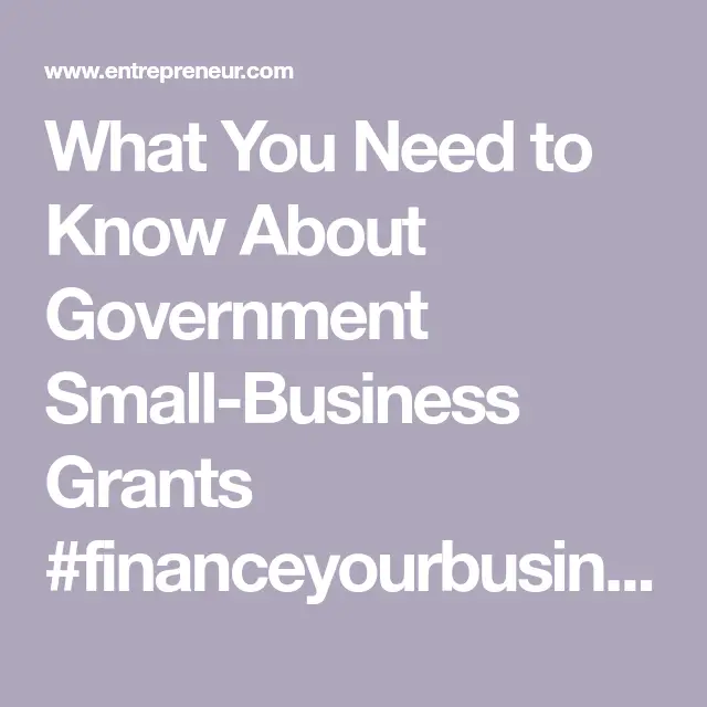 What You Need to Know About Government Small