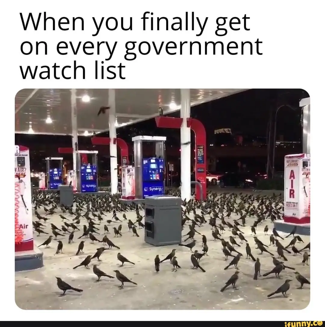 When you finally get on every government watch list